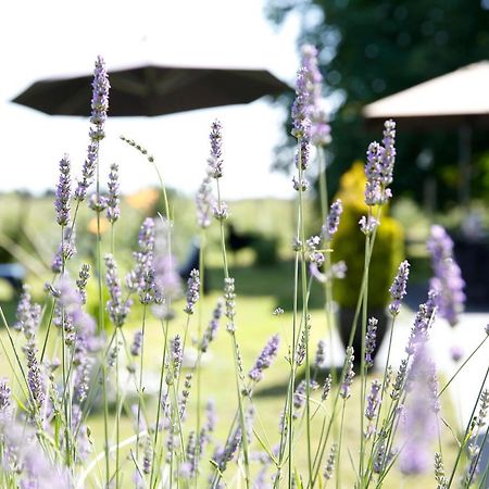 Nature&Chateaux Villandry Extérieur photo