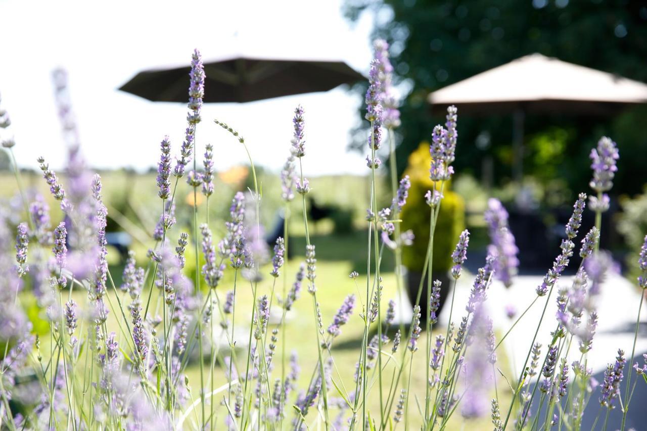 Nature&Chateaux Villandry Extérieur photo